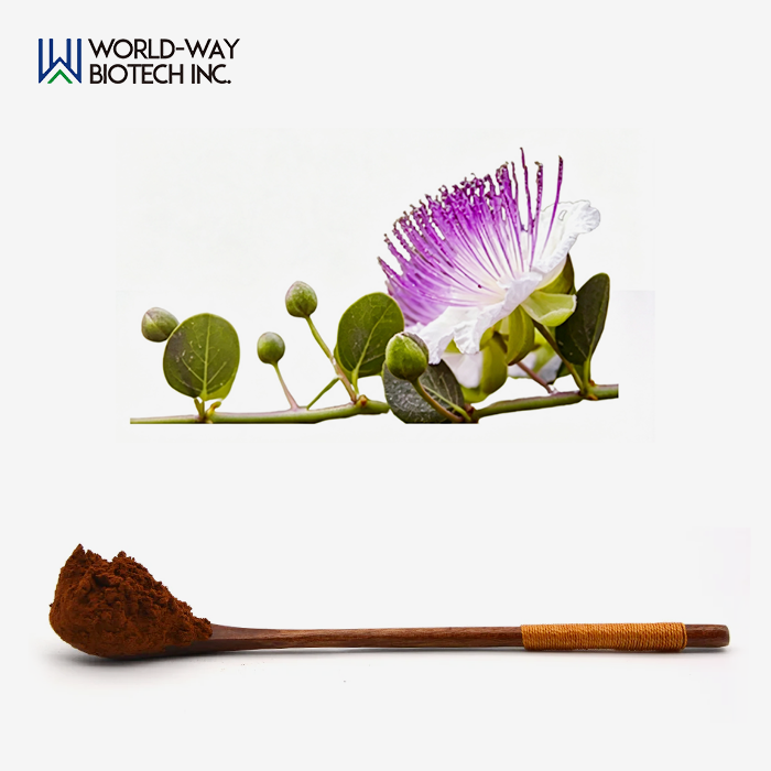 Capparis Spinosa Extract